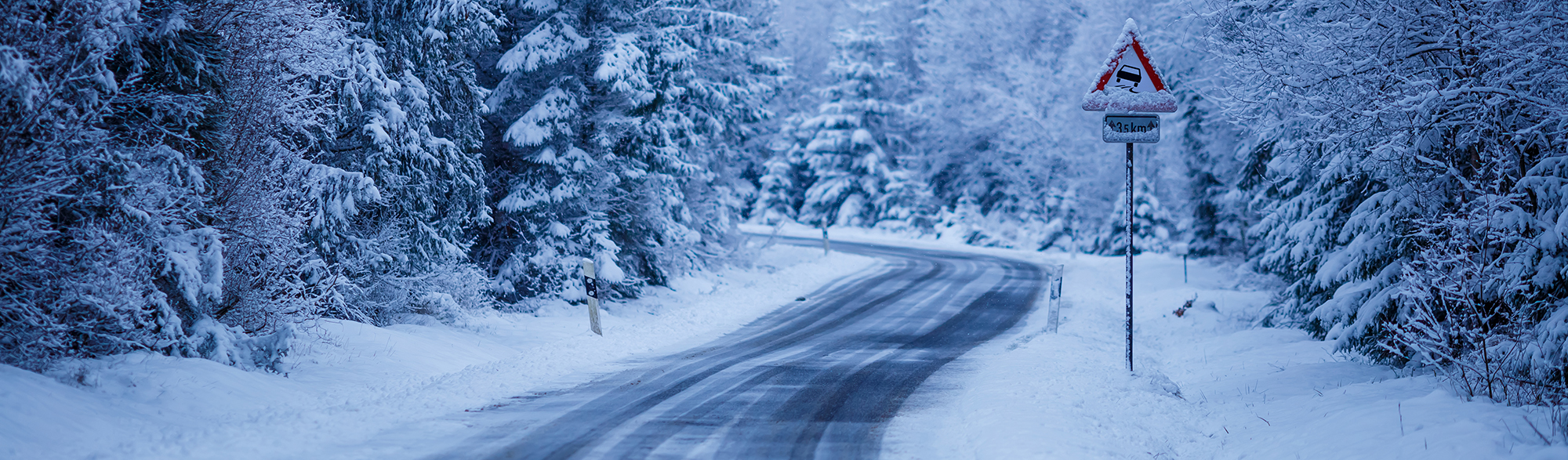 Vej igennem skov med masser af sne